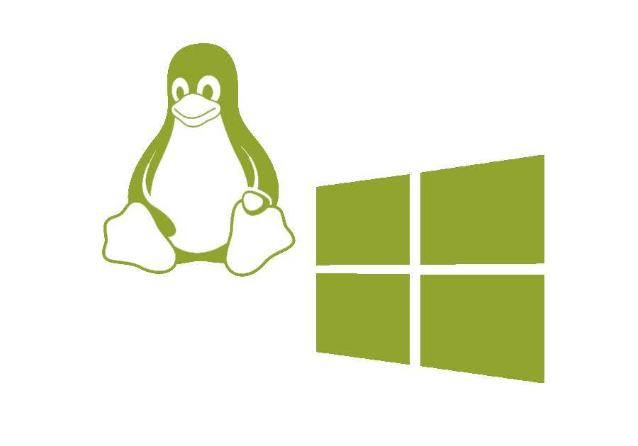 linux or windows